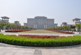 91麻豆精品国产91久久久久久办公楼